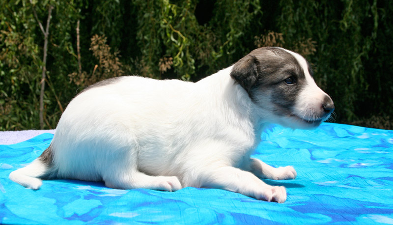 Surf Spots - Girl 2 Right